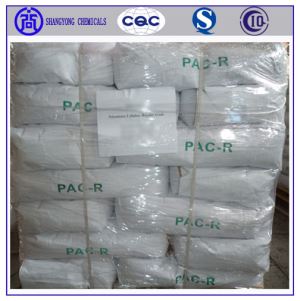 Polyanionic Cellulose Regular (PAC-R)