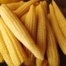 Organic Non GMO Canned Whole Kernel Corn Pickled Baby Corn with Recipes