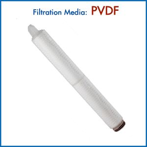 Hydrophilic/Hydrophobic PVDF Filter Cartridge with 0.1/0.2micron Pore Size