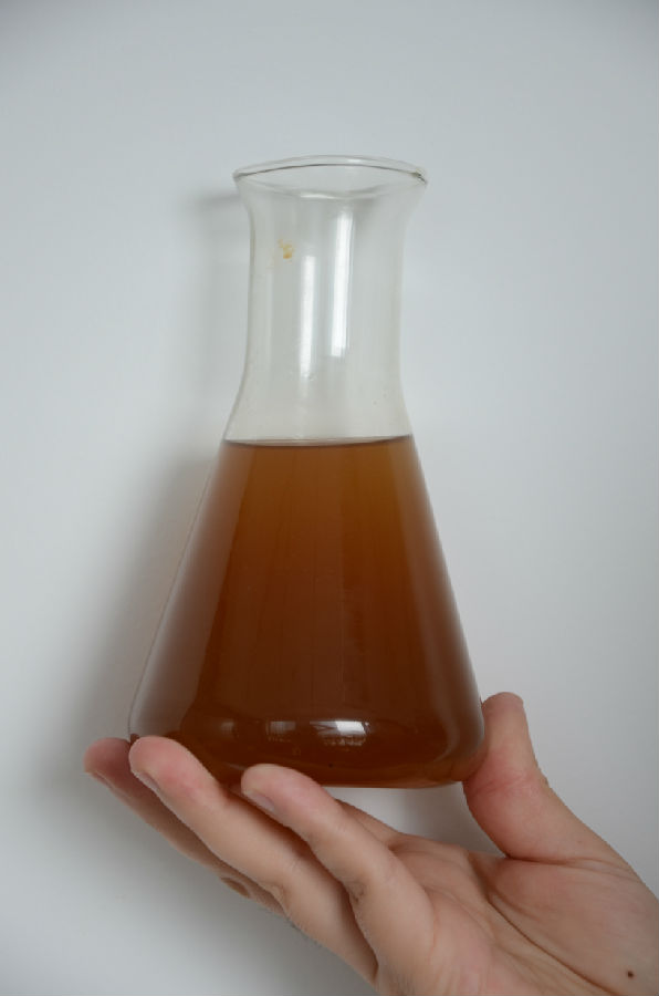 Cistanche Tubulosa Extract Water solubility