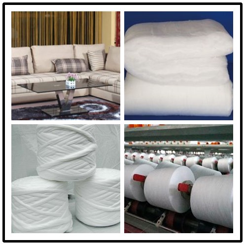 PET bottles hollow conjugated siliconized polyester fiber manufacture price Discount Free Inspection for foam/wadding