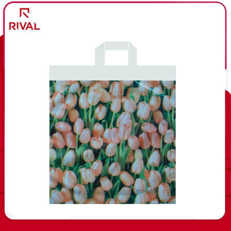 Supermarket Custom Biodegradable Colored Plastic loop handle bag