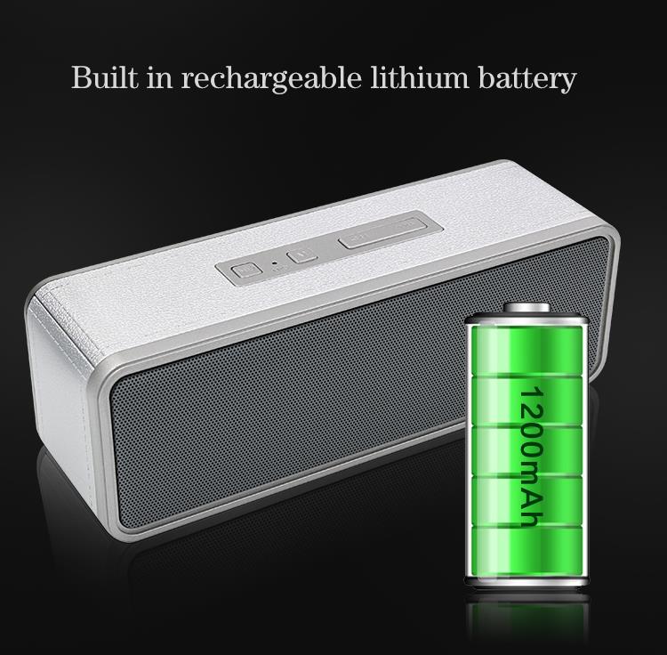 speaker withlithium battery.jpg