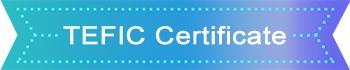 TEFIC Certificate.jpg