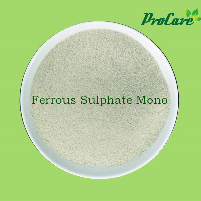 Ferrous Sulphate Monohydrate.jpg