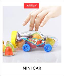mini car.jpg