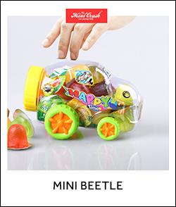 mini beetle.jpg