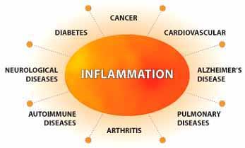 anti-inflammation.jpg