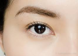 eyebright is benefit to eyes .jpg