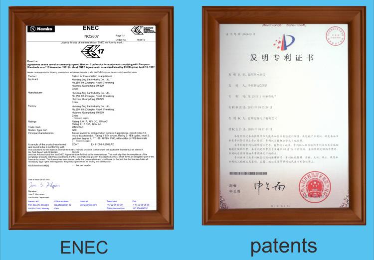 micro switch patent China