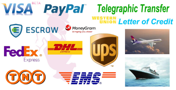 Payment and shipping way 01.png