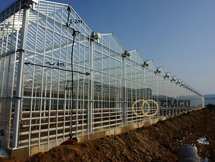 1-Venlos greenhouse.jpg