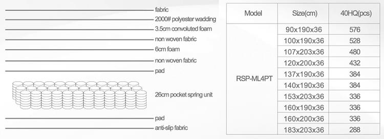 RSP-ML4PT(5).jpg
