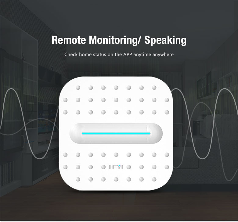 Remote Monitoring/Speaking