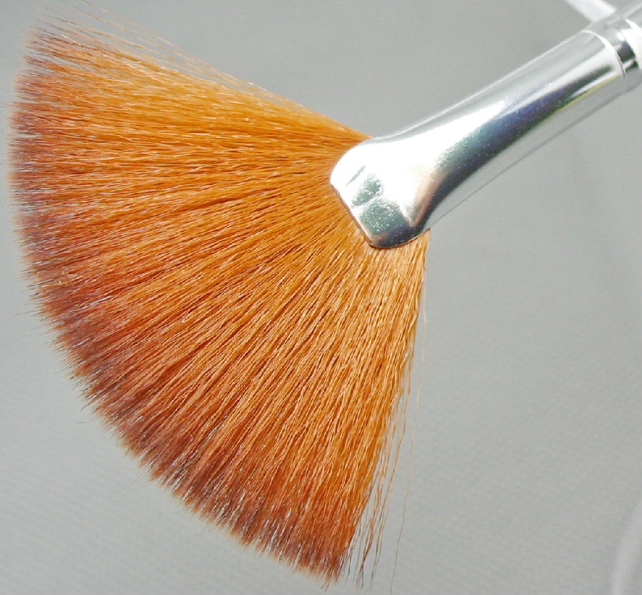 fan brush makeup