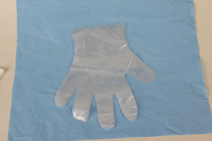 Plastic Gloves.JPG