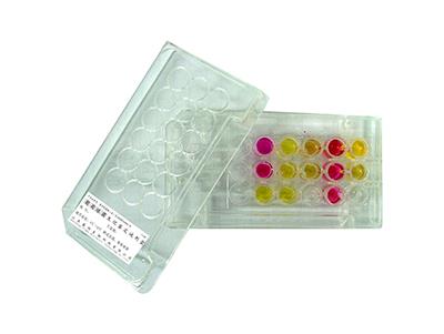 Microbial Identification Kits-2.jpg