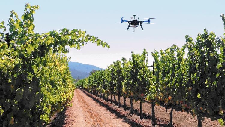 agricultural drone pestcide spraying 3.jpg