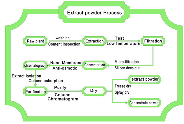 Extract Powder process.png