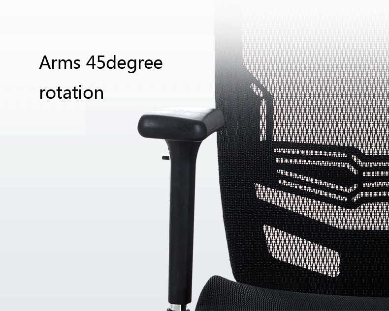 Arms 45degree rotation.gif