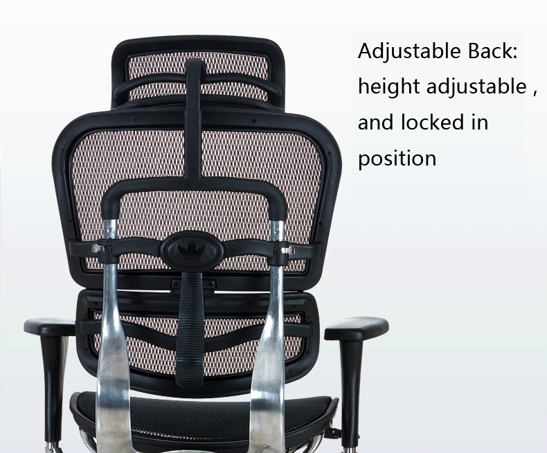 ?????Adjustable Back height adjustable  and locked in position.gif