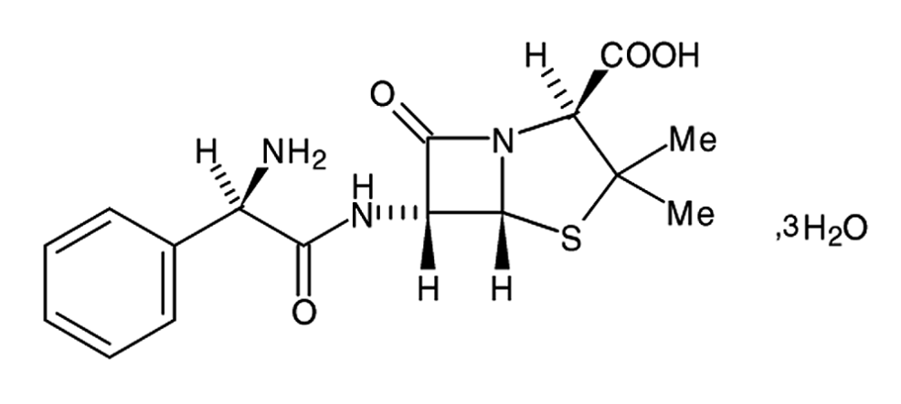 Ampicillin Trihydrate Compacted or Powder formula.gif