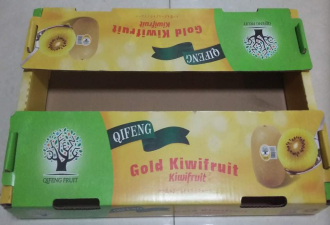 Golden kiwifruit.png