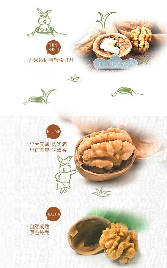 walnut in shell.jpg
