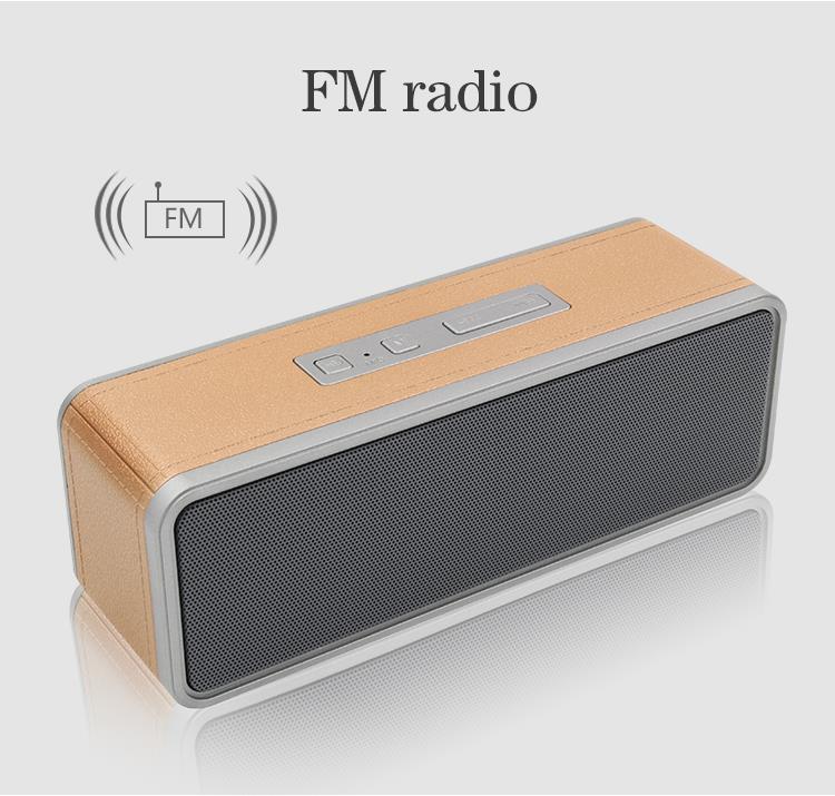 FM radio speaker.jpg