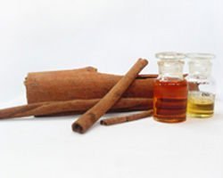 best Cinnamon essential oil .jpg