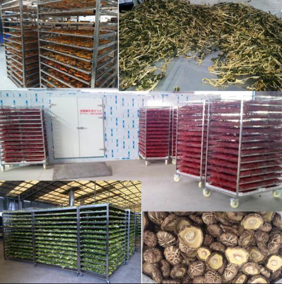 fruit and vegetable drying machine1163.png