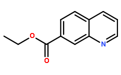 Ethyl quinoline-7-carboxylate