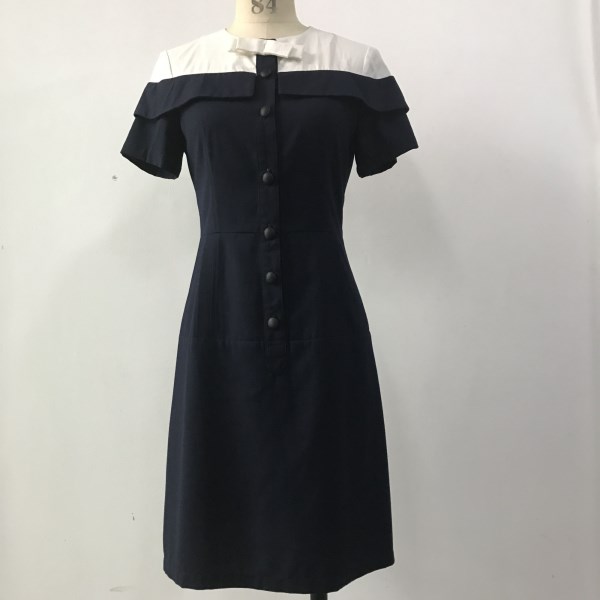 Short Sleeve A Line Dress 1