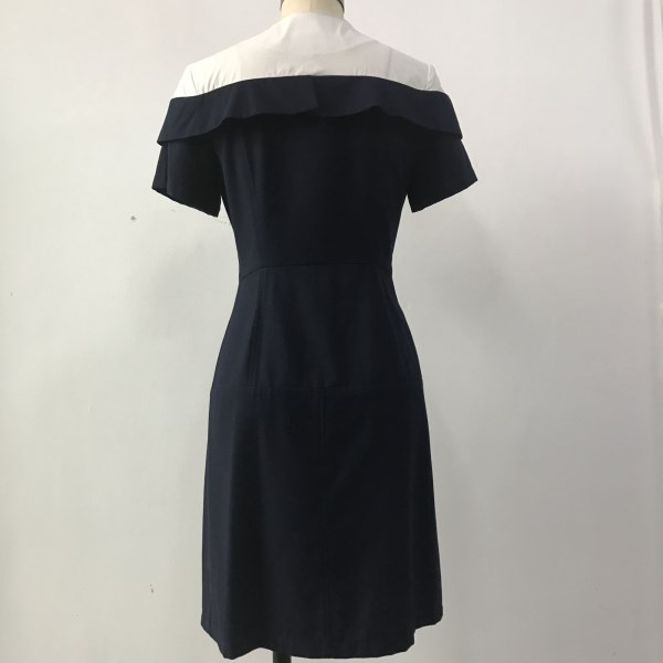 Short Sleeve A Line Dress 2