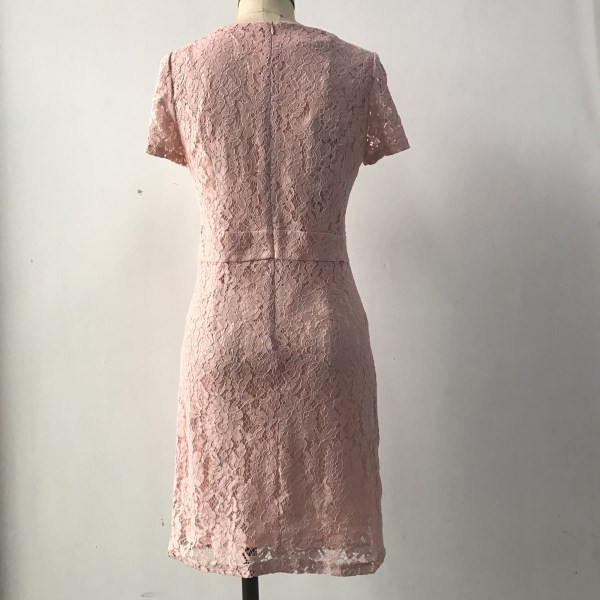 Lace Short Sleeve Dress 2
