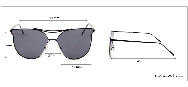Metal Frame Sunglasses Cool Fashion Spring Metal Hinge With Smoke Lens Young People