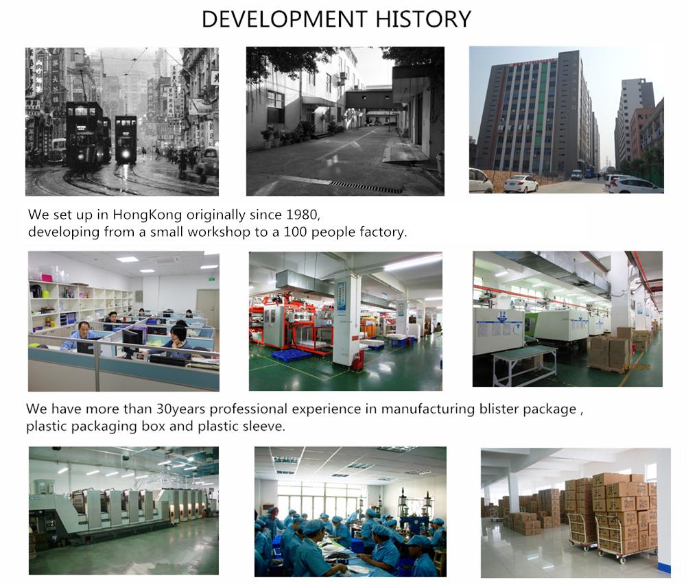 development history.jpg