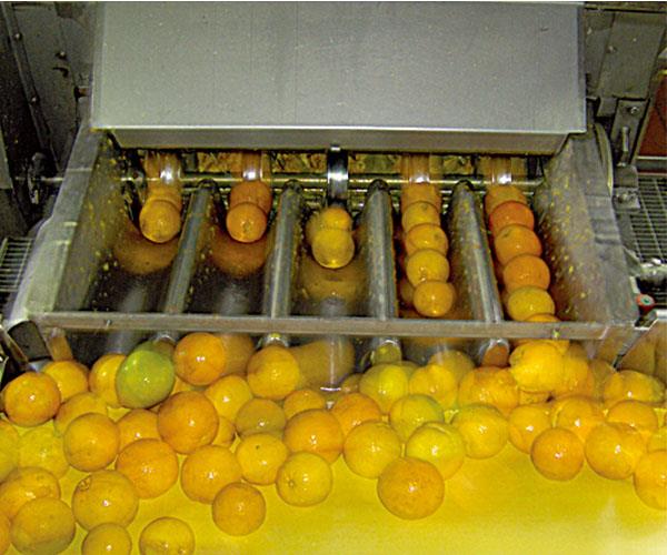 orange extractor supplier.jpg