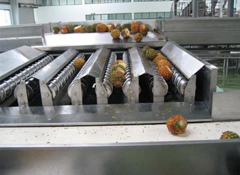 pineapple processing machine manufacturer