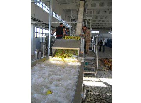 Apple and pear processing line companies