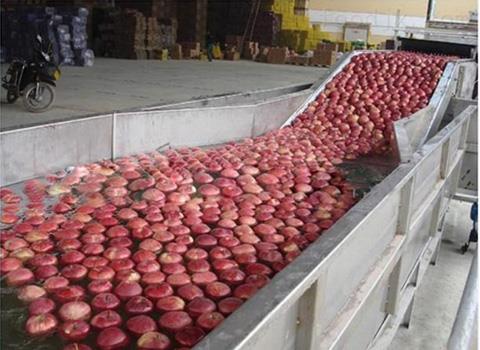 Apple and pear juice production line manufacturers