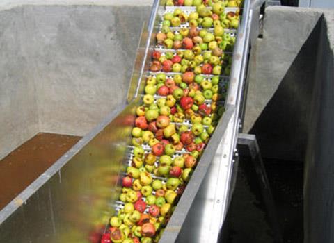 Apple and pear processing line for sale