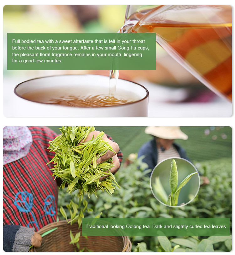 Organic Oolong Tea Da Hong Pao Tea