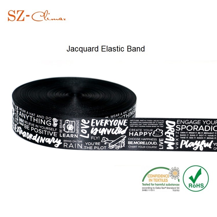 elastic strap.jpg