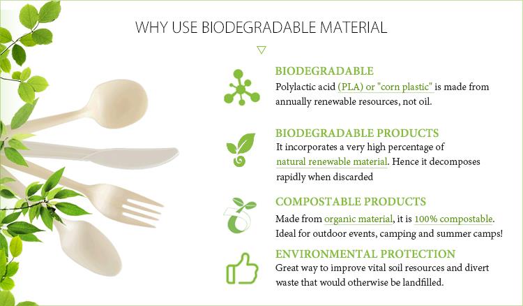 Biodegradable Spoon.jpg