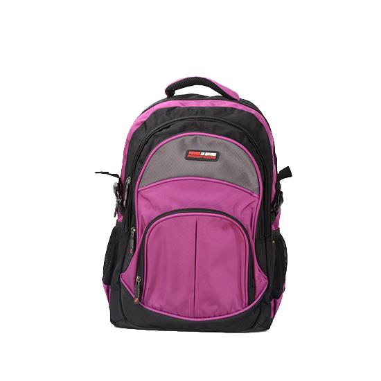 Daily Laptop Backpack Bag