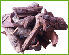Pygeum-bark-extract-1.png