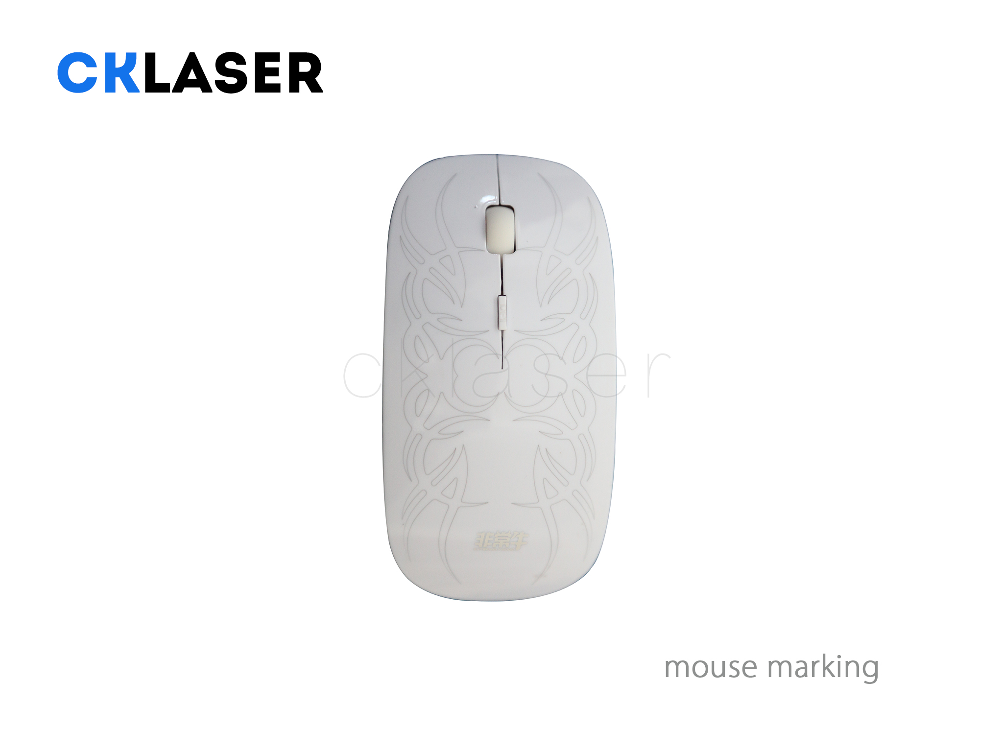 mouse marking.jpg