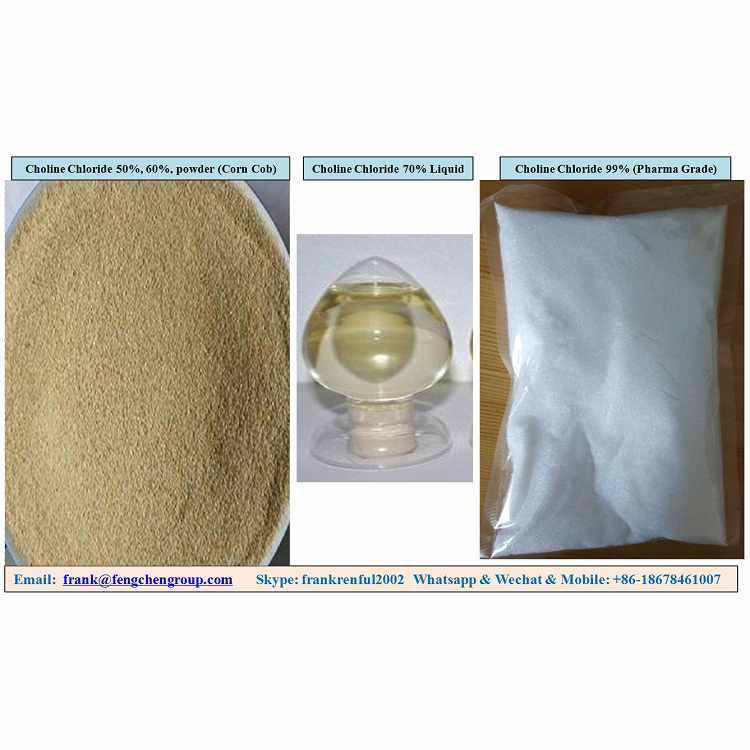 Choline Chloride 50% 60% 70% 75% Powder Feed Grade 98% Food Grade 99% Pharmaceutical Grade.jpg