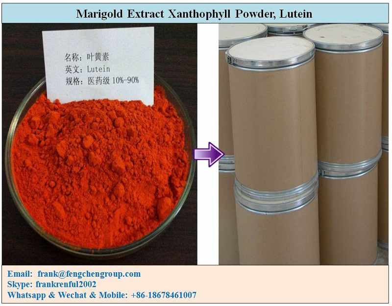 Marigold Extract Xanthophyll Powder, Lutein.jpg